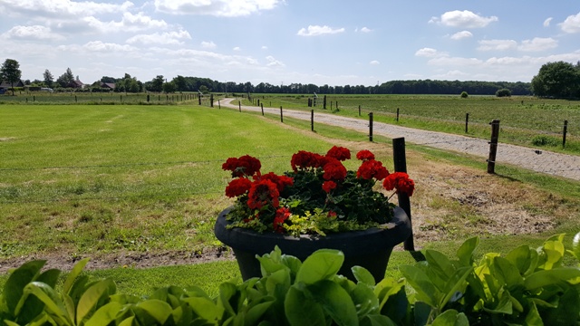 Uitzicht vanuit de tuin.