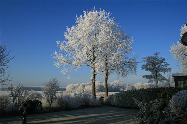 Wat een blauwe lucht.