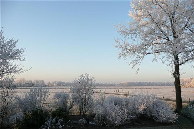 Uitzicht vanuit de woonkamer.