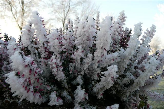 Brrrrr wat koud, maar wel erg mooi.